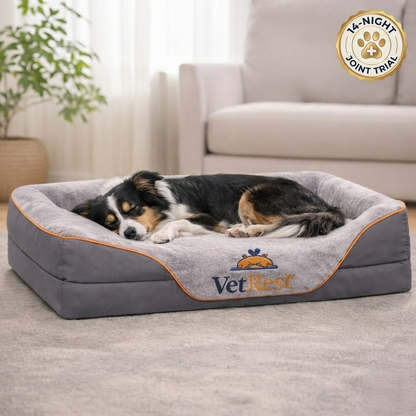 VetRest Orthopaedic Memory Foam Support Bed